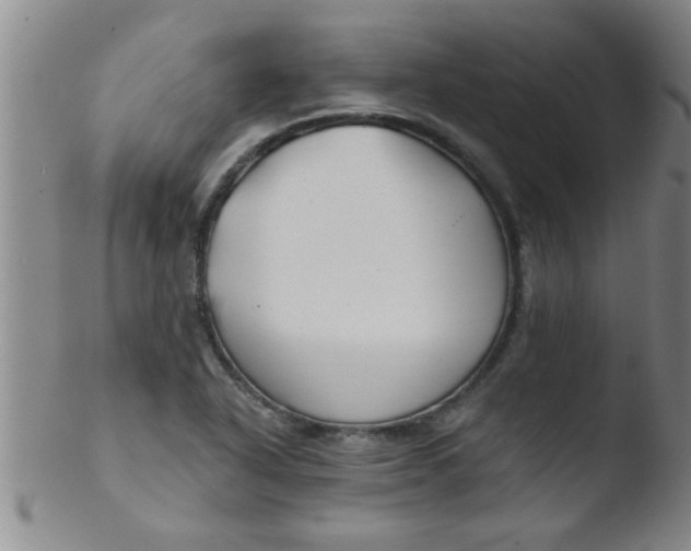 X0000103491318200809261941