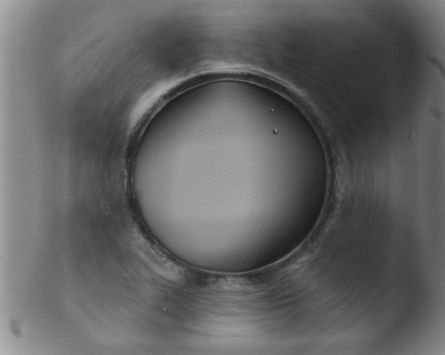 X0000103491319200809261941