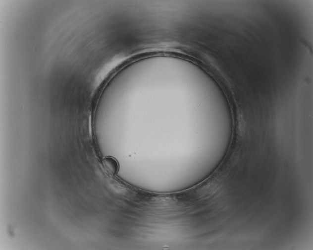 X0000103491320200809261941