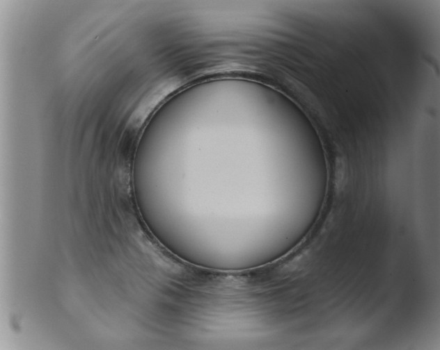 X0000103491321200809261941