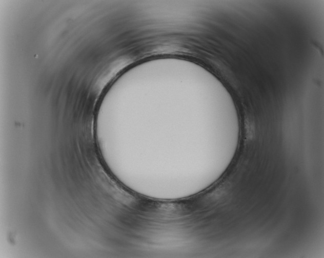 X0000103491322200809261941