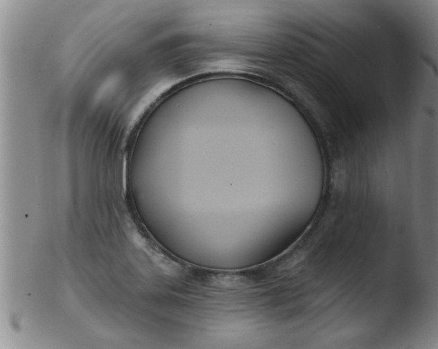 X0000103491323200809261941