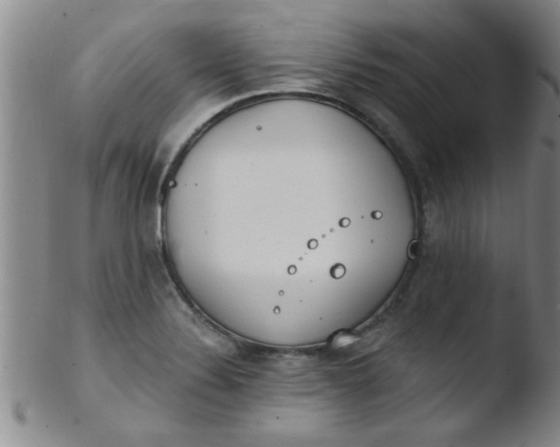 X0000103491324200809261941