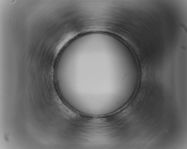 X0000103491325200809261941