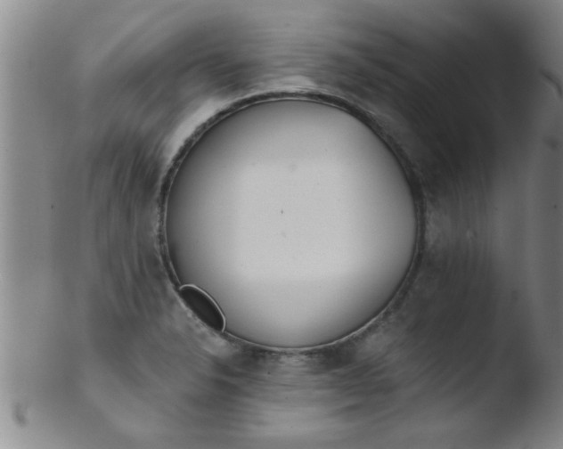 X0000103491326200809261941