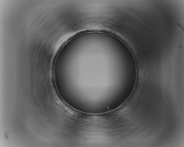 X0000103491327200809261941