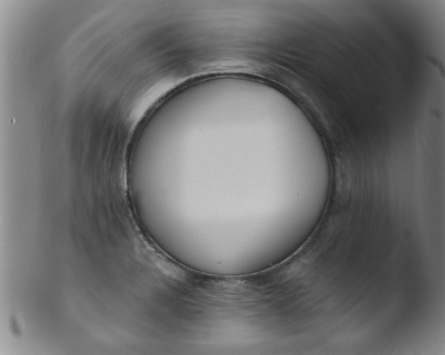 X0000103491328200809261941