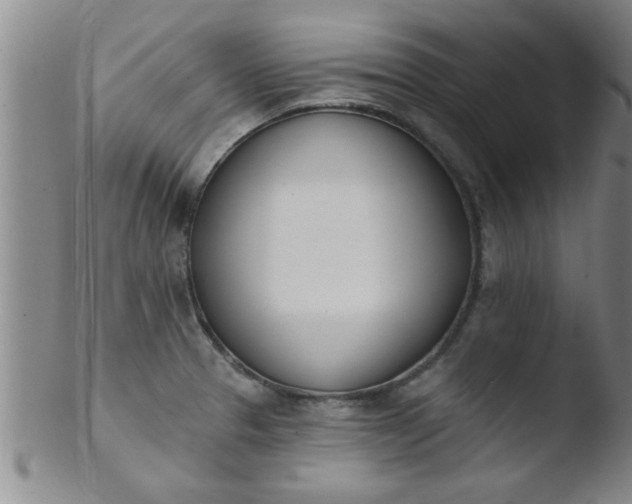 X0000103491329200809261941