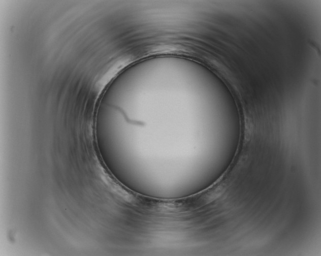 X0000103491330200809261941