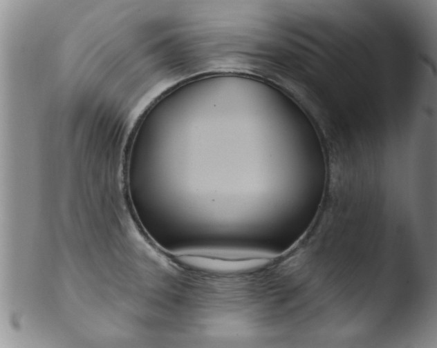 X0000103491331200809261941