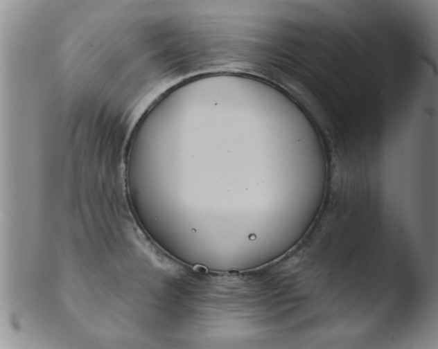 X0000103491332200809261941