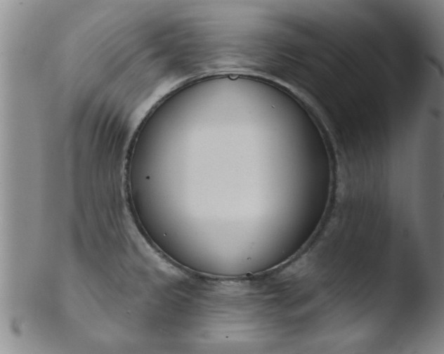 X0000103491333200809261941