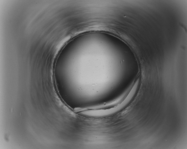 X0000103491334200809261941