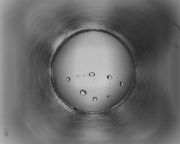 X0000103491335200809261941