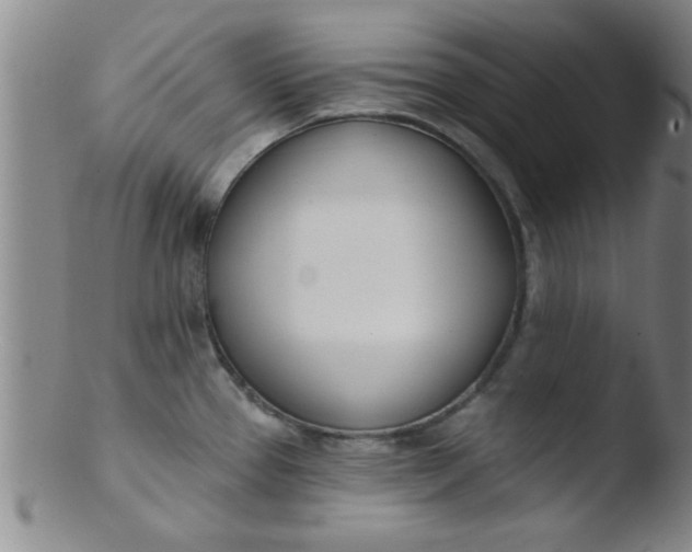 X0000103491337200809261942