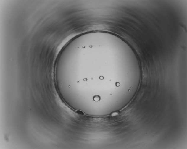 X0000103491339200809261942