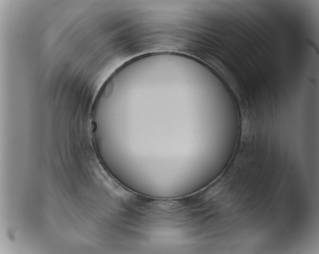 X0000103491340200809261942