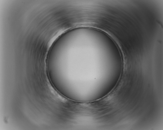 X0000103491341200809261942