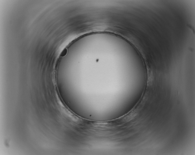 X0000103491342200809261942