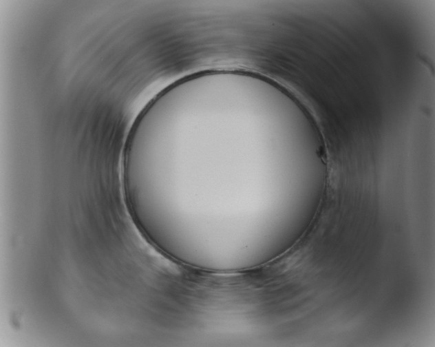 X0000103491343200809261942