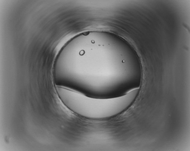 X0000103491344200809261942