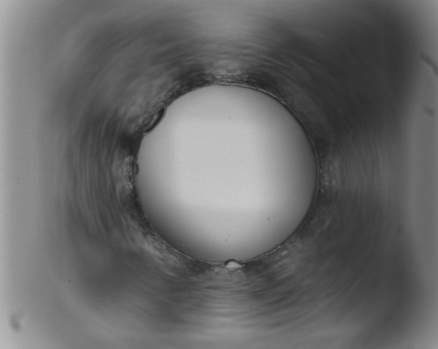 X0000103491346200809261941