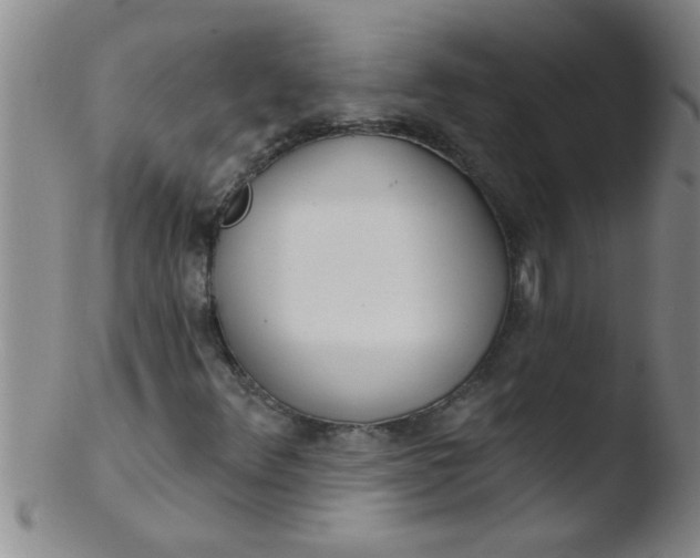 X0000103491348200809261941