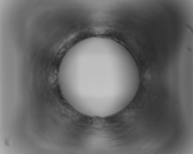 X0000103491349200809261941