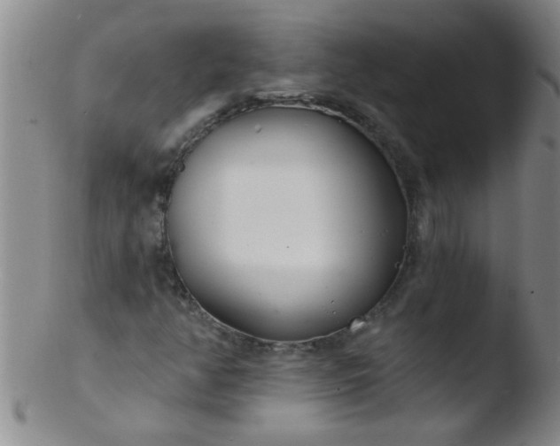 X0000103491350200809261941