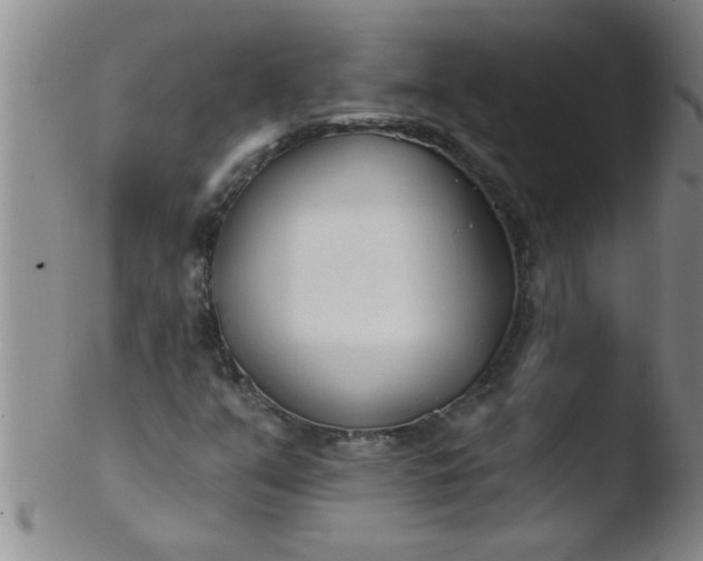 X0000103491351200809261941