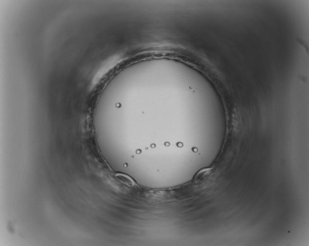 X0000103491352200809261941