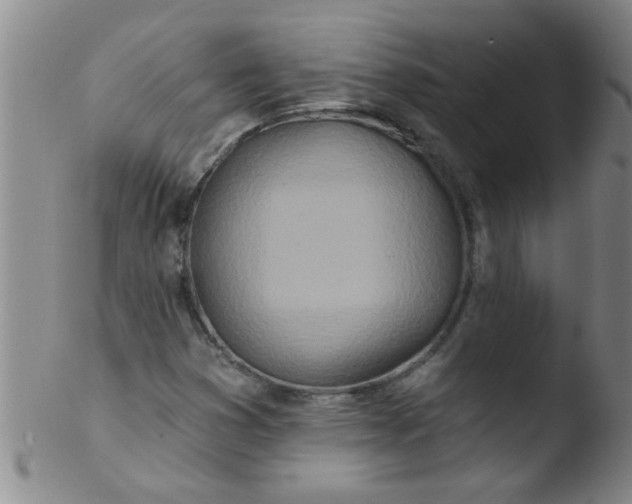 X0000103491353200809261941