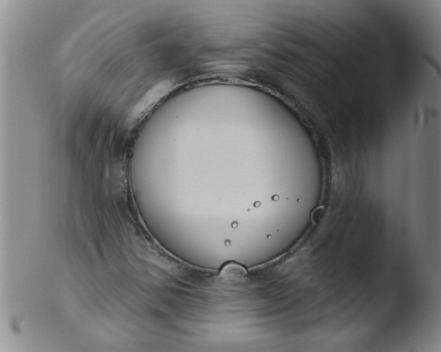 X0000103491354200809261941