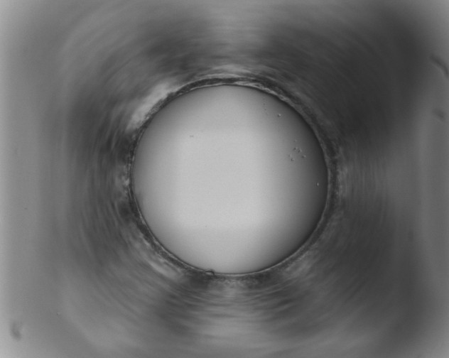 X0000103491355200809261941