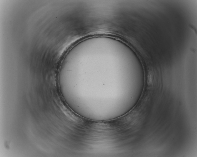 X0000103491356200809261941