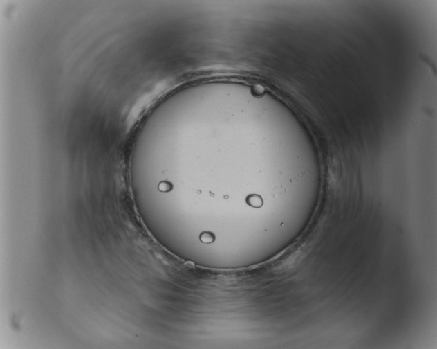 X0000103491357200809261941