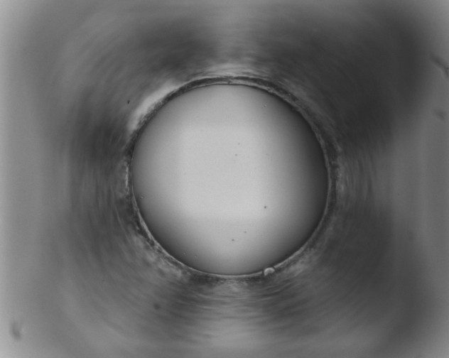 X0000103491358200809261941