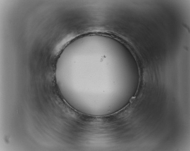 X0000103491359200809261941