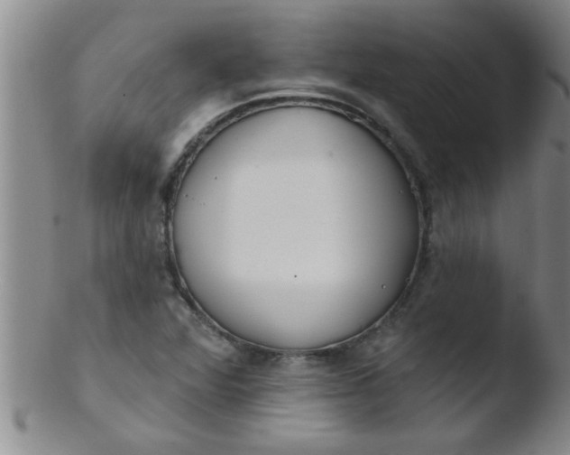 X0000103491360200809261941