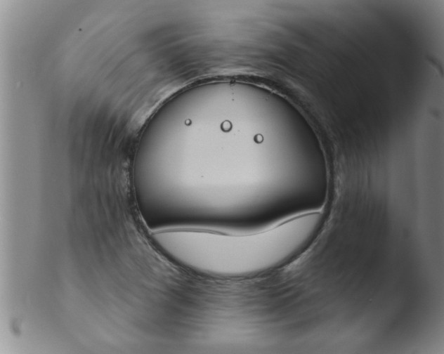 X0000103491361200809261941