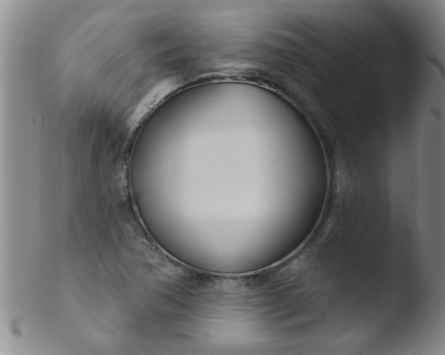 X0000103491362200809261941