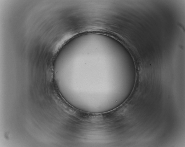 X0000103491363200809261941