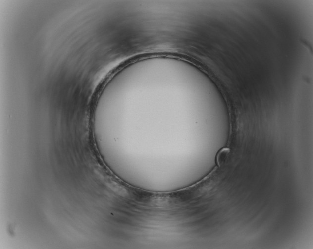 X0000103491364200809261941