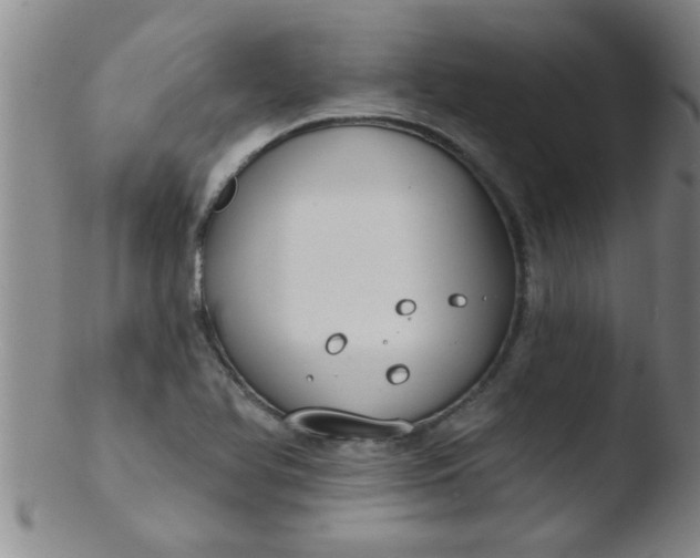 X0000103491366200809261941