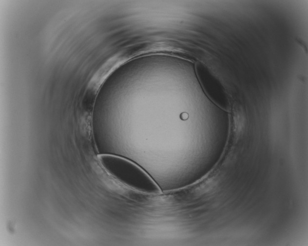 X0000103491369200809261941