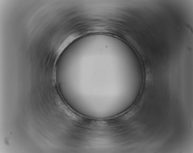 X0000103491370200809261941