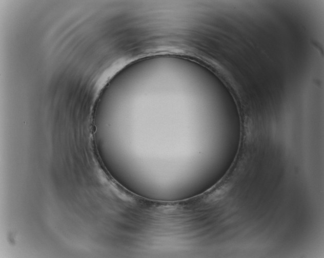 X0000103491373200809261941