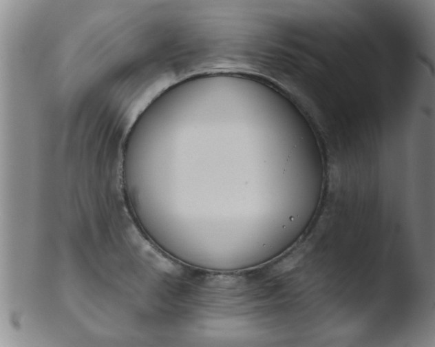 X0000103491374200809261941