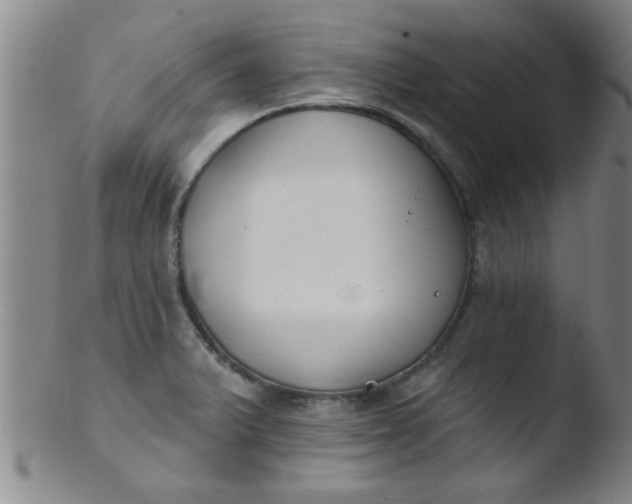 X0000103491375200809261941