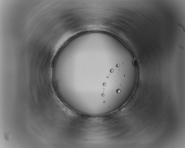 X0000103491376200809261941